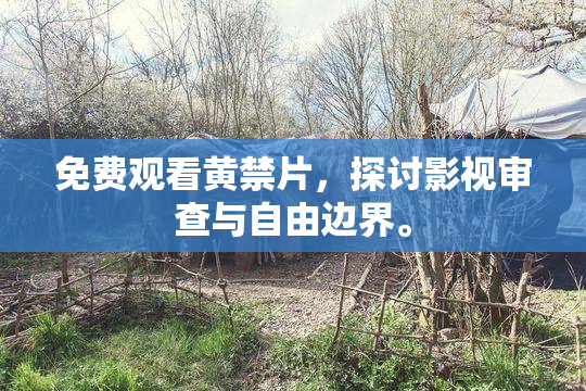 免费观看黄禁片，探讨影视审查与自由边界。