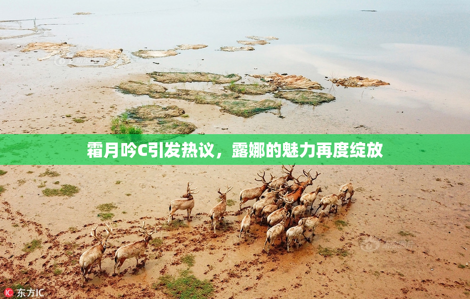 霜月吟C引发热议，露娜的魅力再度绽放
