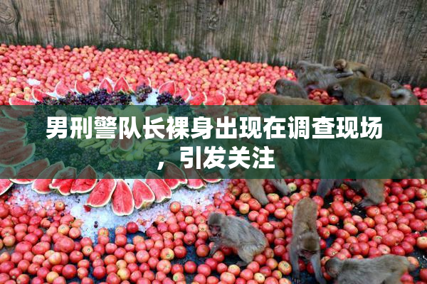 男刑警队长裸身出现在调查现场，引发关注