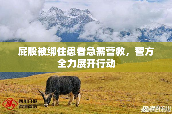 屁股被绑住患者急需营救，警方全力展开行动