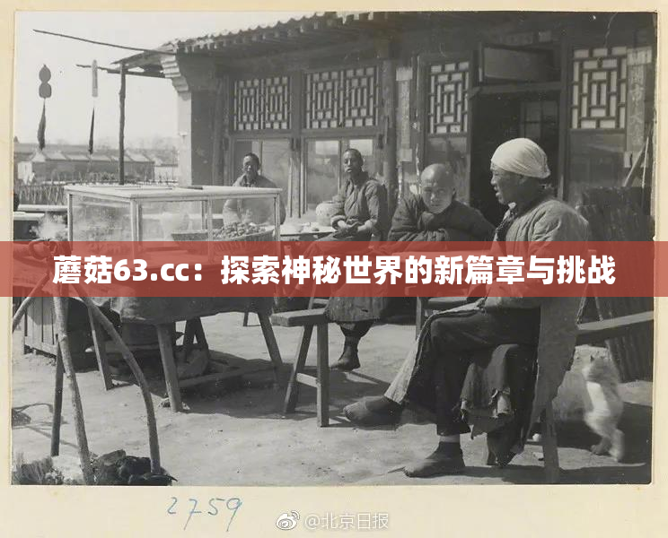 蘑菇63.㏄：探索神秘世界的新篇章与挑战