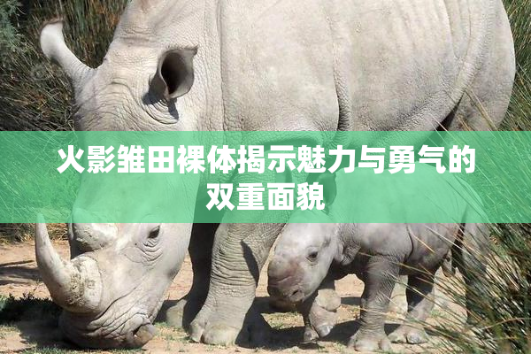 火影雏田裸体揭示魅力与勇气的双重面貌