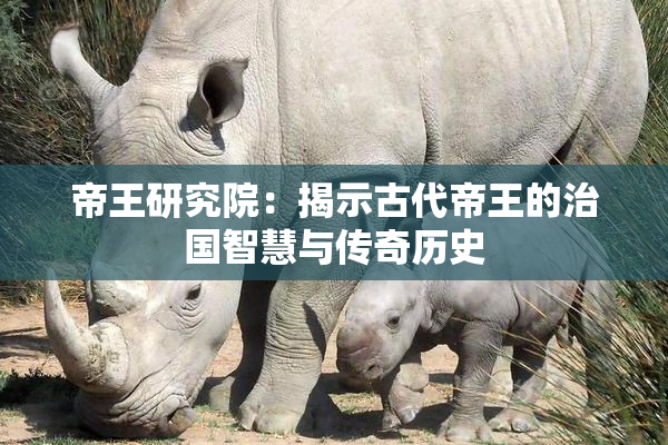 帝王研究院：揭示古代帝王的治国智慧与传奇历史