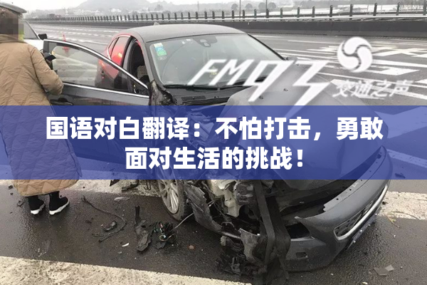 国语对白翻译：不怕打击，勇敢面对生活的挑战！