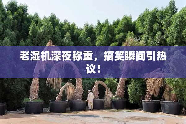 老湿机深夜称重，搞笑瞬间引热议！