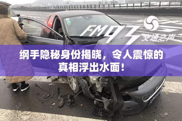 纲手隐秘身份揭晓，令人震惊的真相浮出水面！