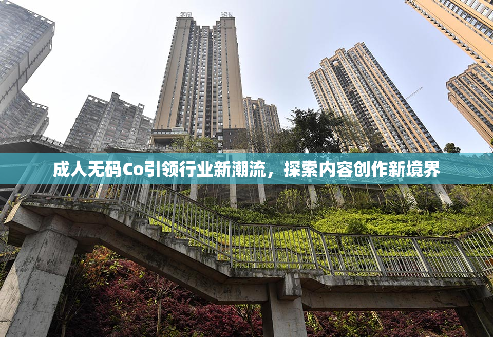 成人无码Co引领行业新潮流，探索内容创作新境界