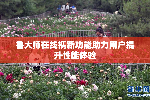 鲁大师在线携新功能助力用户提升性能体验