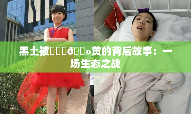黑土被❌‌‌🐻黄的背后故事：一场生态之战