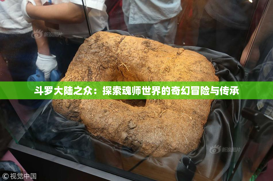 斗罗大陆之众：探索魂师世界的奇幻冒险与传承