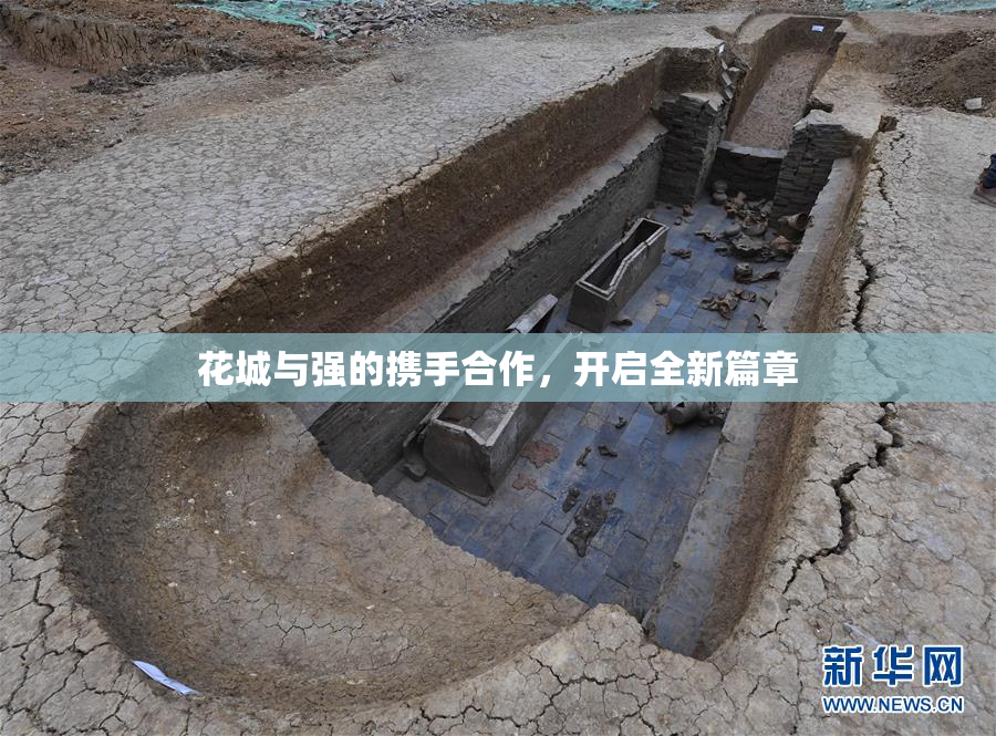 花城与强的携手合作，开启全新篇章