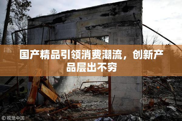 国产精品引领消费潮流，创新产品层出不穷