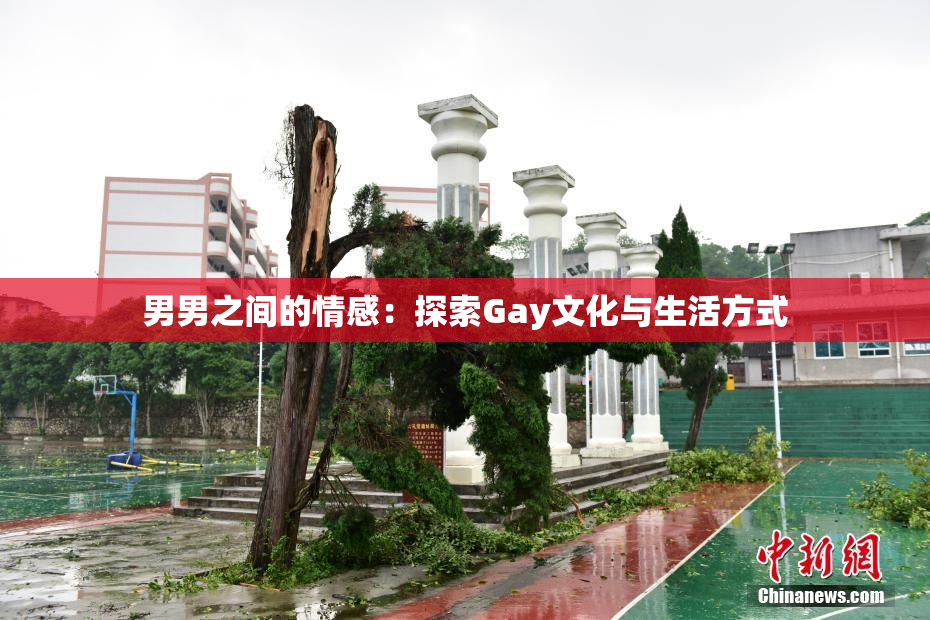 男男之间的情感：探索Gay文化与生活方式