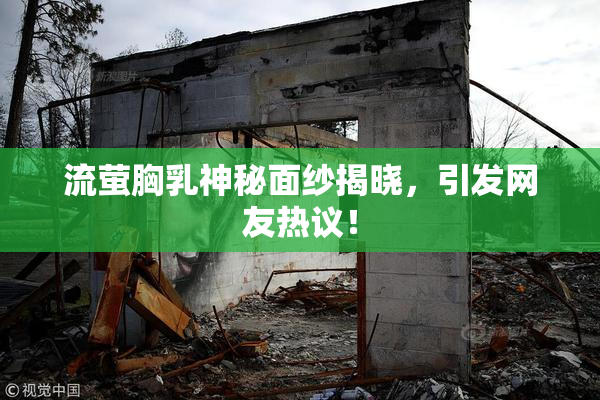 流萤胸乳神秘面纱揭晓，引发网友热议！