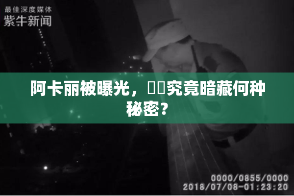 阿卡丽被曝光，❌‌究竟暗藏何种秘密？