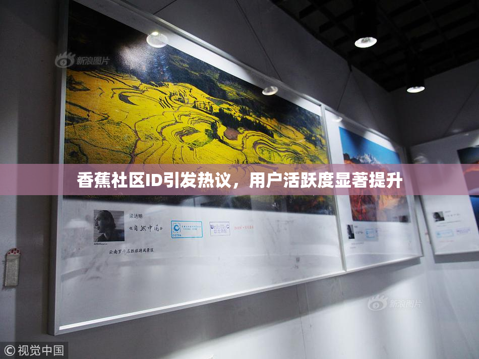 香蕉社区ID引发热议，用户活跃度显著提升