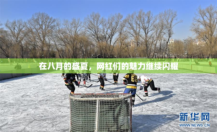 在八月的盛夏，网红们的魅力继续闪耀
