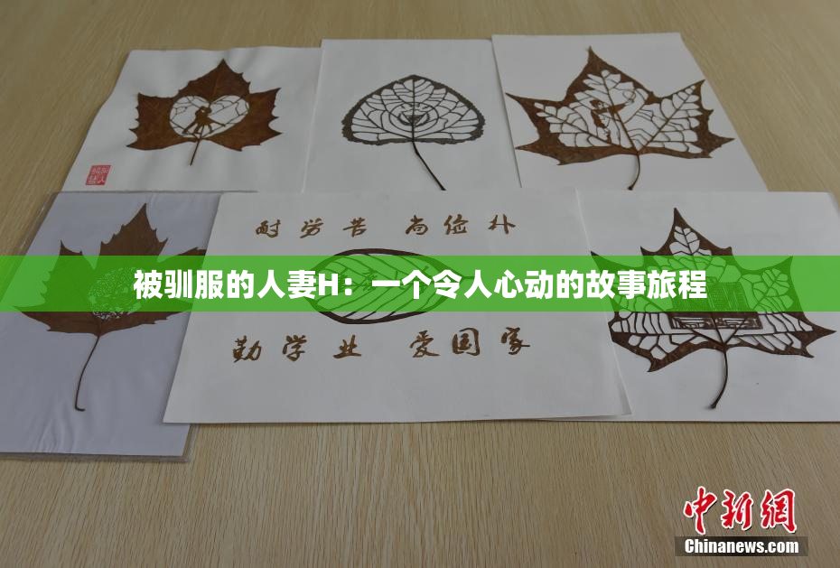 被驯服的人妻H：一个令人心动的故事旅程