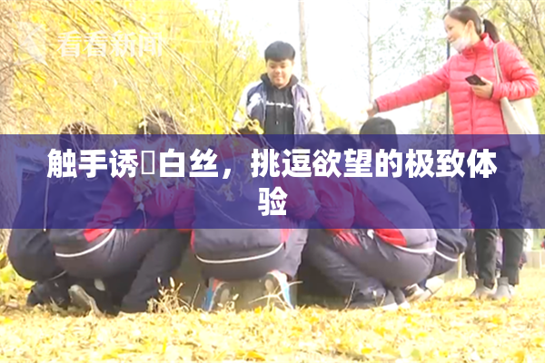 触手诱奷白丝，挑逗欲望的极致体验