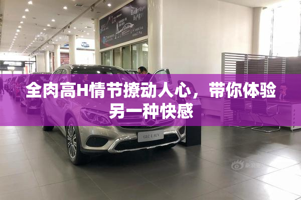 全肉高H情节撩动人心，带你体验另一种快感