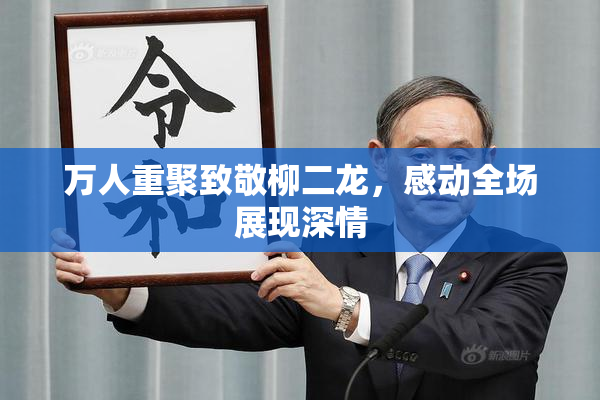 万人重聚致敬柳二龙，感动全场展现深情