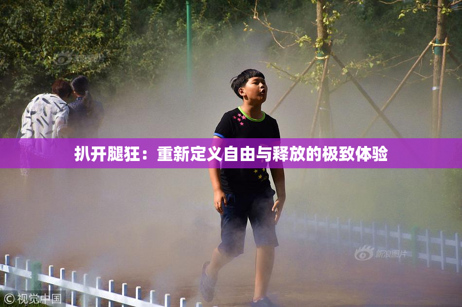 扒开腿狂：重新定义自由与释放的极致体验