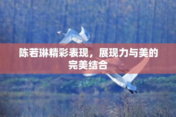 陈若琳精彩表现，展现力与美的完美结合