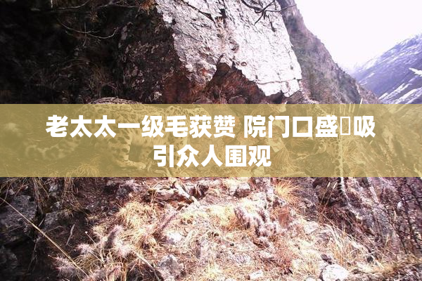 老太太一级毛获赞 院门口盛況吸引众人围观