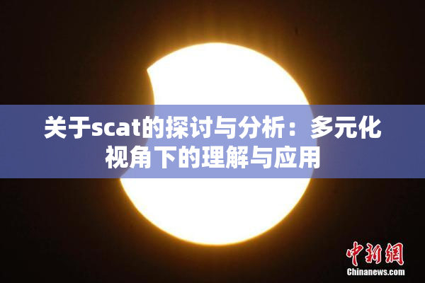 关于scat的探讨与分析：多元化视角下的理解与应用