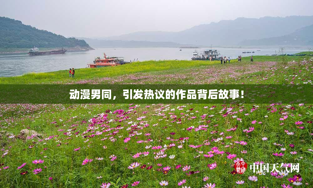 动漫男同，引发热议的作品背后故事！