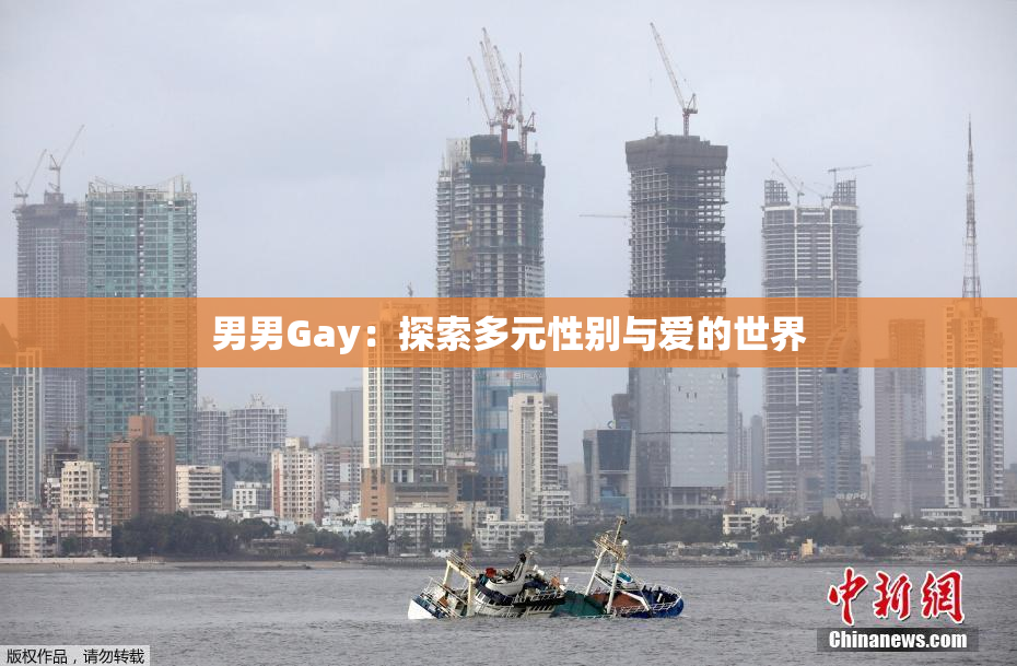 男男Gay：探索多元性别与爱的世界