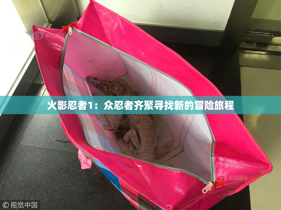 火影忍者1：众忍者齐聚寻找新的冒险旅程