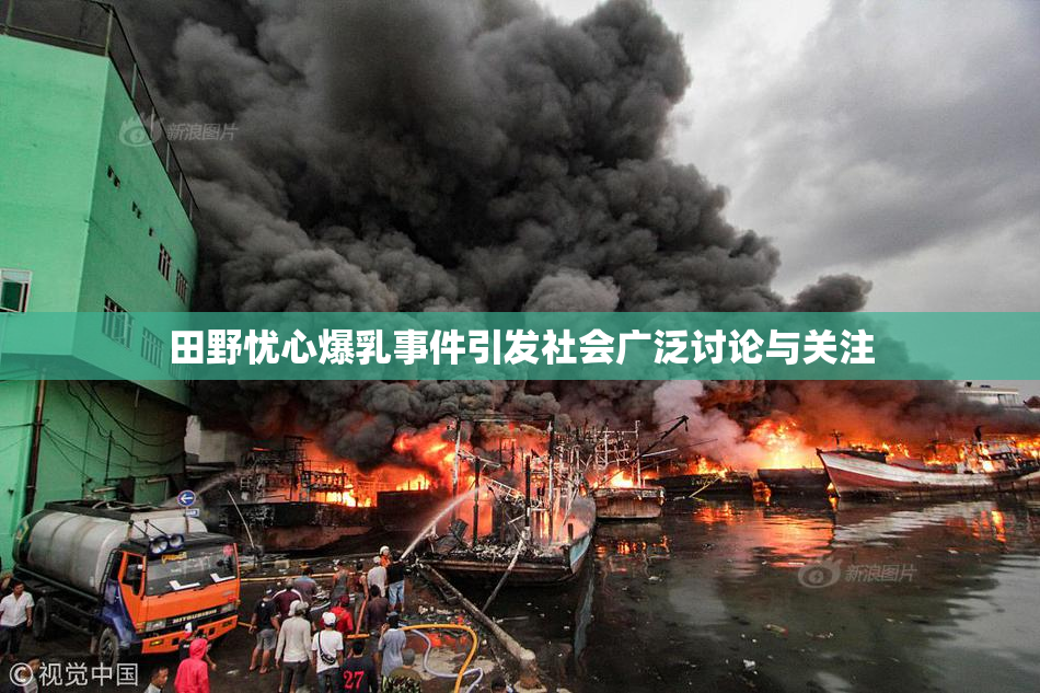 田野忧心爆乳事件引发社会广泛讨论与关注