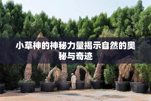 小草神的神秘力量揭示自然的奥秘与奇迹