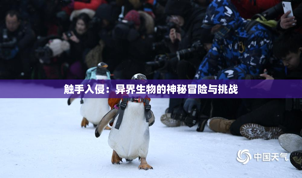 触手入侵：异界生物的神秘冒险与挑战
