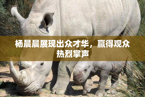 杨晨晨展现出众才华，赢得观众热烈掌声
