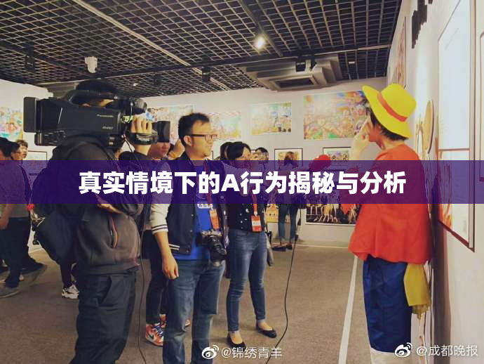真实情境下的A行为揭秘与分析