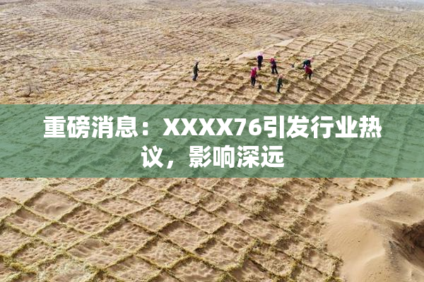 重磅消息：XXXX76引发行业热议，影响深远