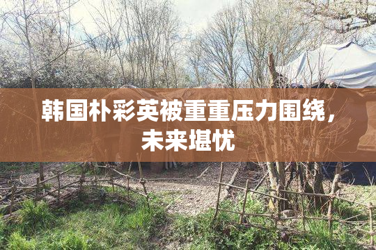 韩国朴彩英被重重压力围绕，未来堪忧