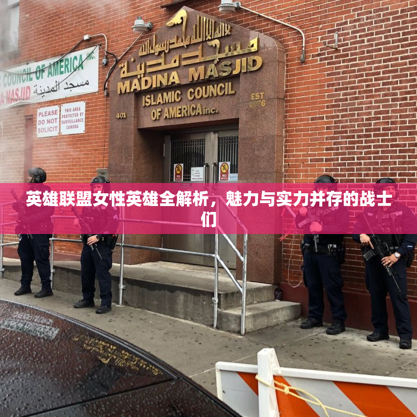 英雄联盟女性英雄全解析，魅力与实力并存的战士们