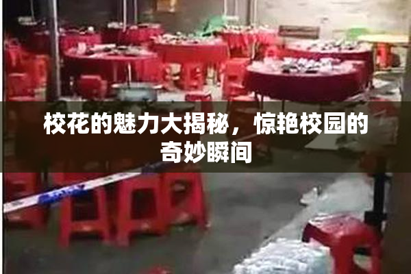校花的魅力大揭秘，惊艳校园的奇妙瞬间