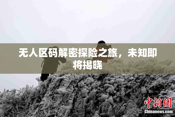 无人区码解密探险之旅，未知即将揭晓