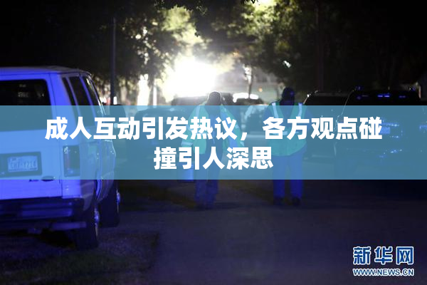成人互动引发热议，各方观点碰撞引人深思