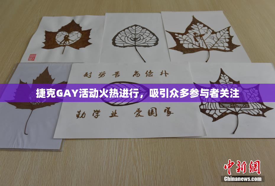 捷克GAY活动火热进行，吸引众多参与者关注