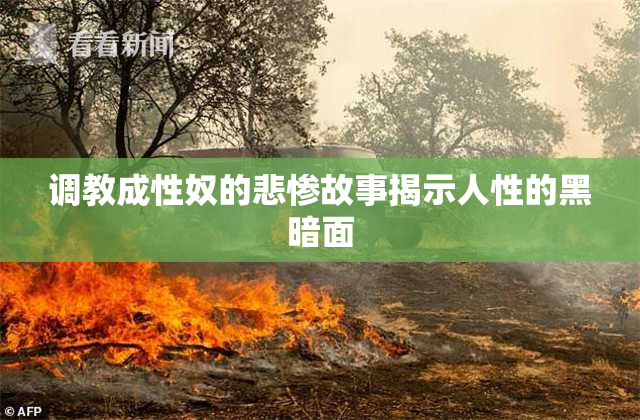 调教成性奴的悲惨故事揭示人性的黑暗面