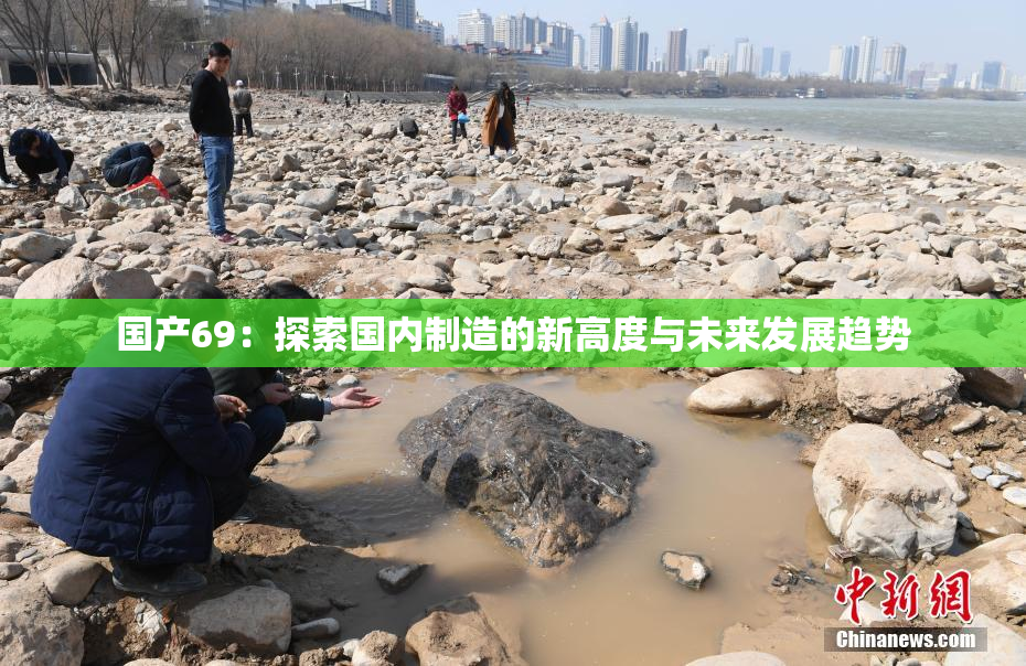 国产69：探索国内制造的新高度与未来发展趋势