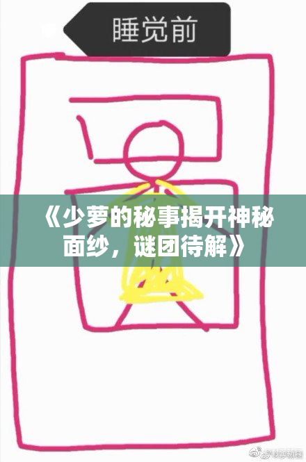 《少萝的秘事揭开神秘面纱，谜团待解》