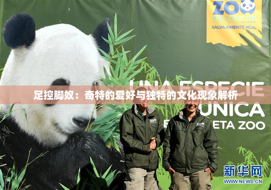 足控脚奴：奇特的爱好与独特的文化现象解析