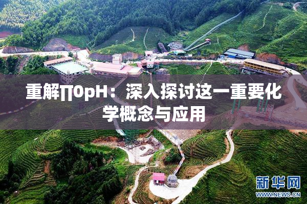 重解∏0pH：深入探讨这一重要化学概念与应用