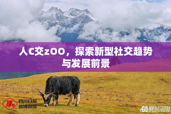 人C交zOO，探索新型社交趋势与发展前景